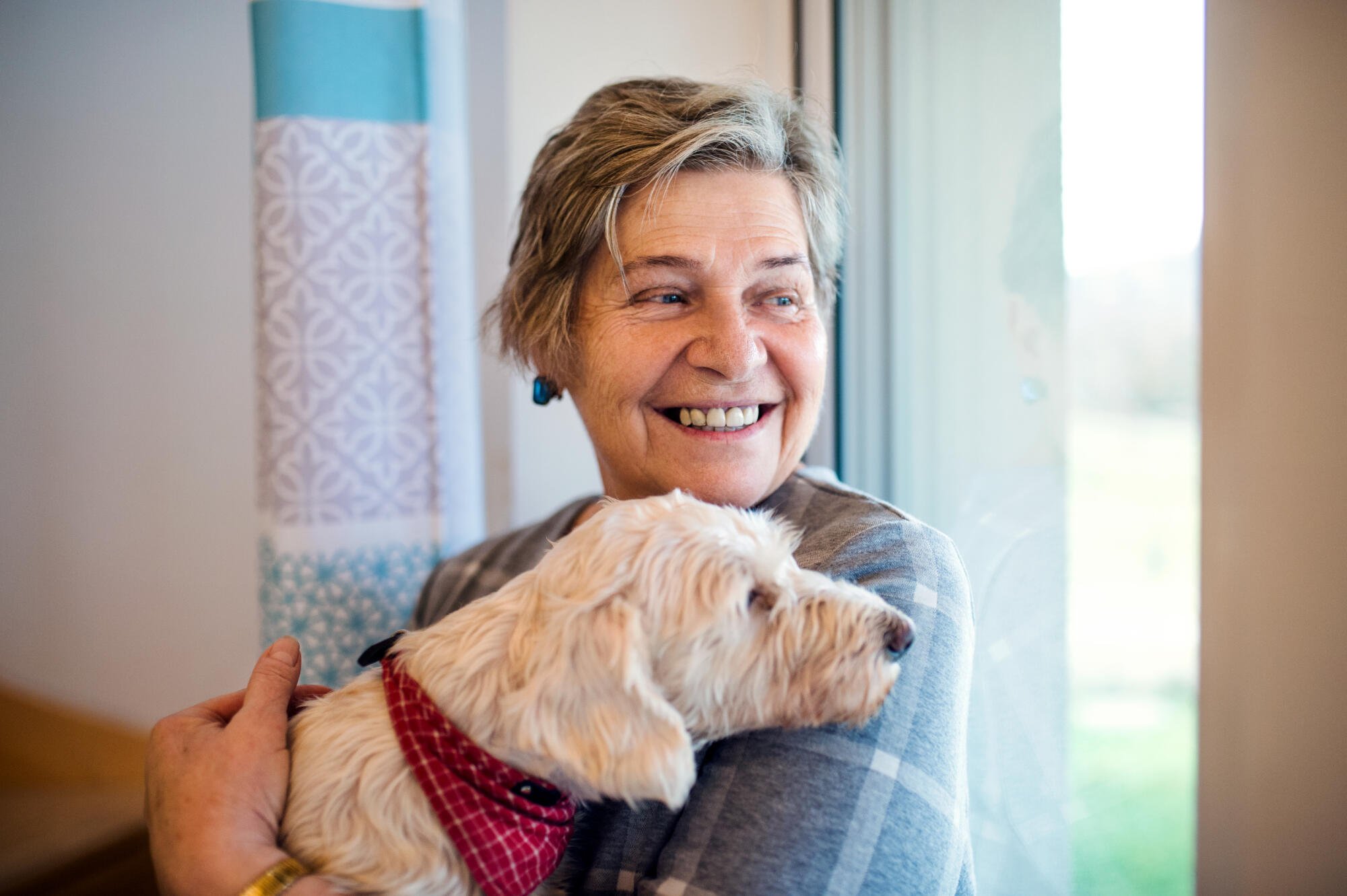Is Becoming an Animal Shelter Volunteer Right for Older Adults in Senior Living?